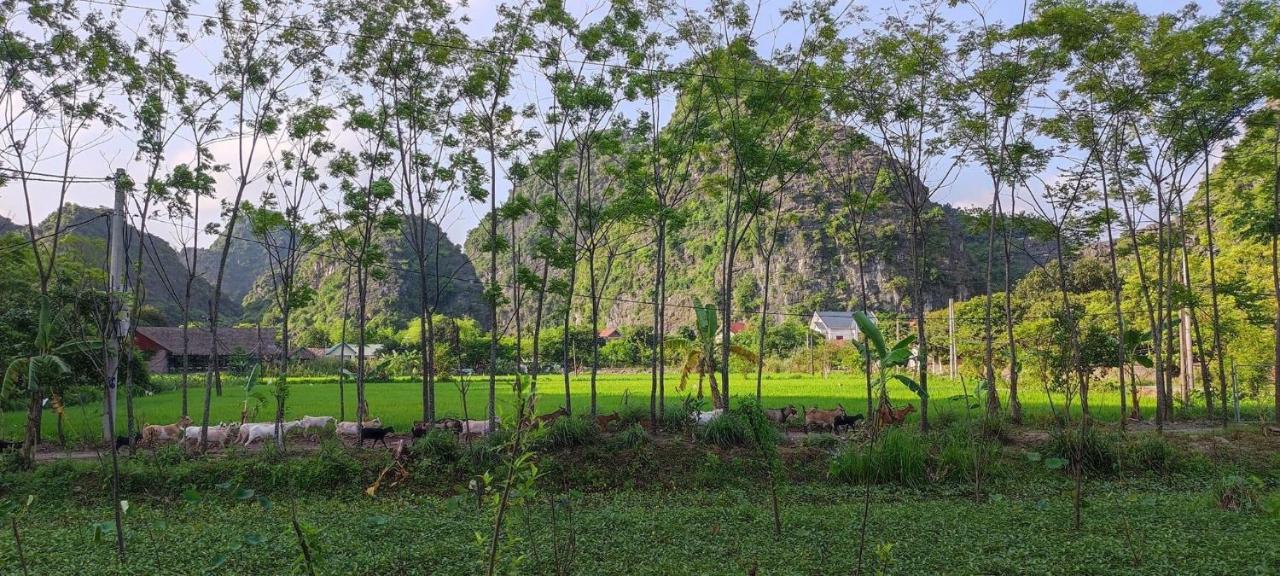 Trang An Retreat Villa Ninh Binh Exterior photo